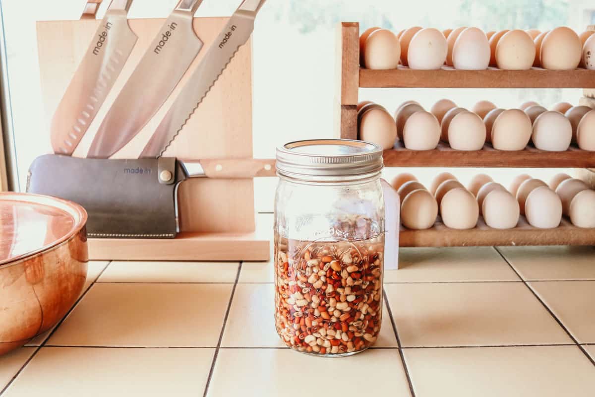 Sea Island Red Peas soaking in a mason jar on a kitchen countertop