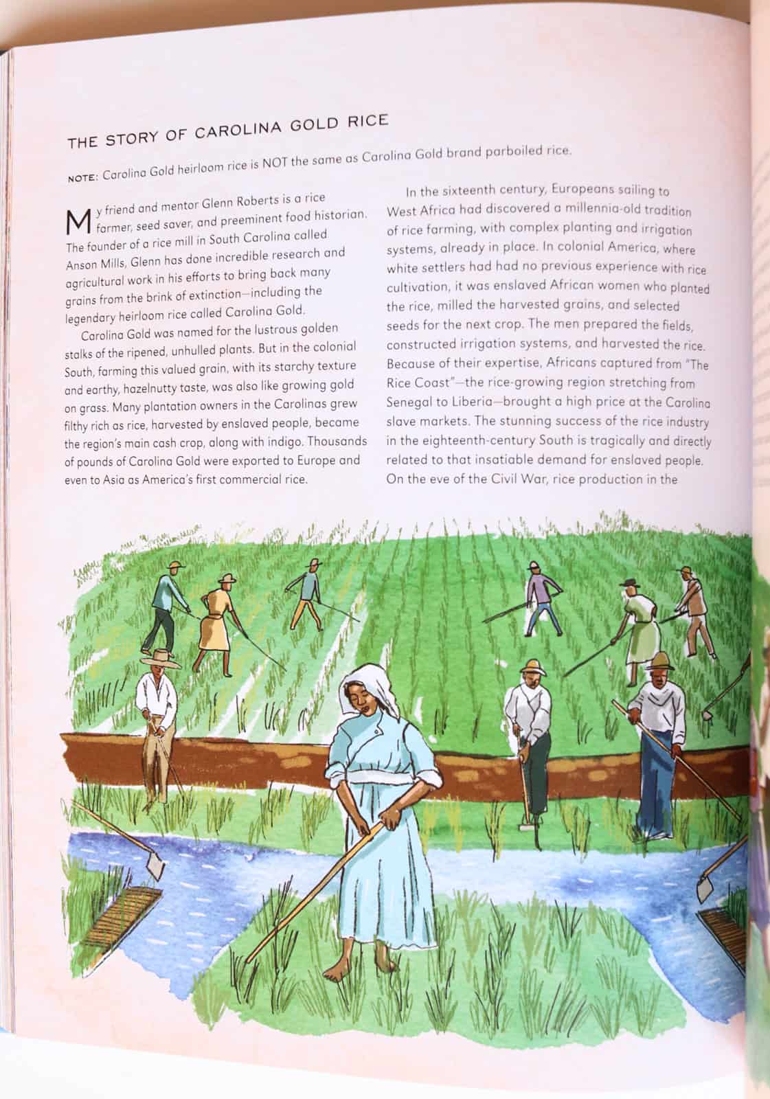 sample page from The Simple Art of Rice by JJ Johnson with Danica Novgorodoff talking about The Story of Carolina Gold Rice