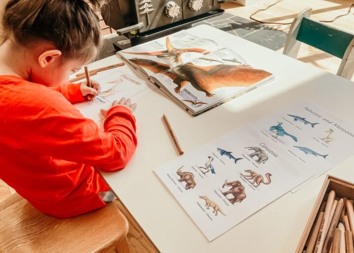 child working with the Montessorikiwi Early Life coloring and clock of eras