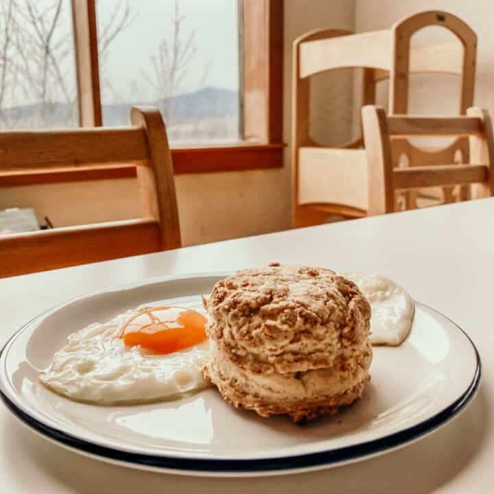 closeup of a plate with a buttermilk biscuit and eggs on a kid's table